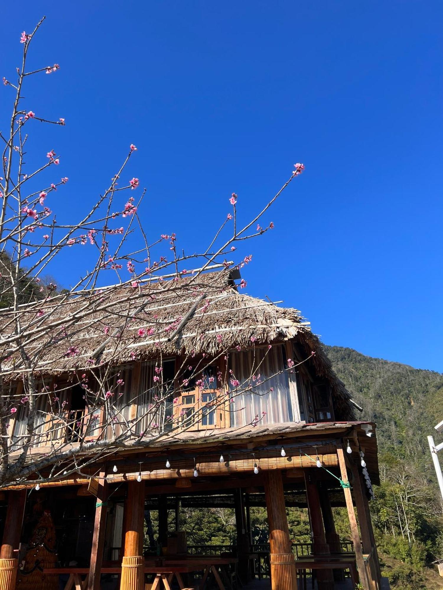 Ta Xua Ecolodge Bac Yen Exterior photo